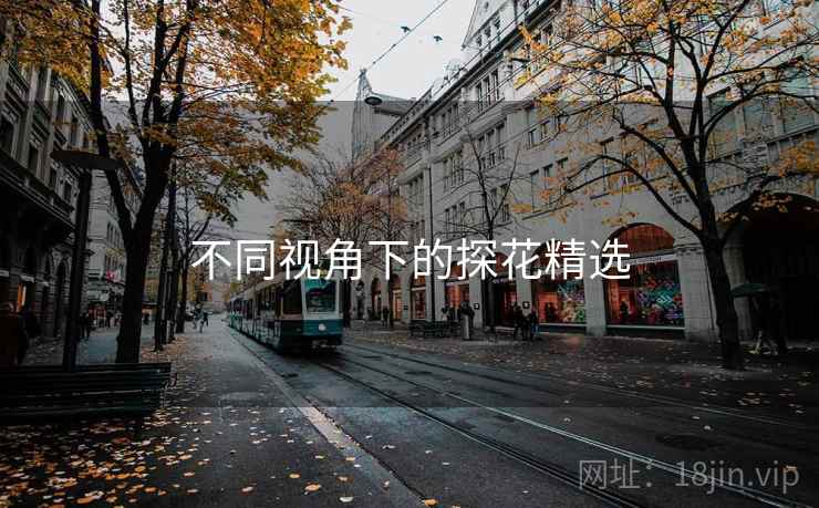 不同视角下的探花精选
