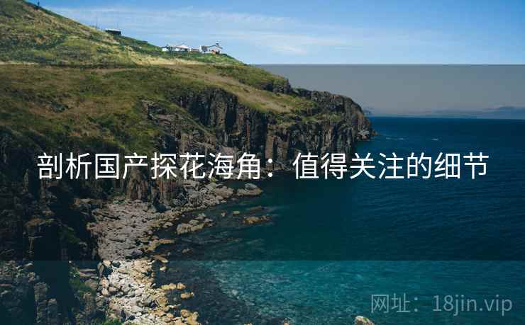 剖析国产探花海角:值得关注的细节 剖析国产探花海角:值得关注的细节