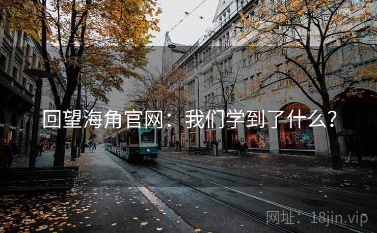 回望海角官网：我们学到了什么？