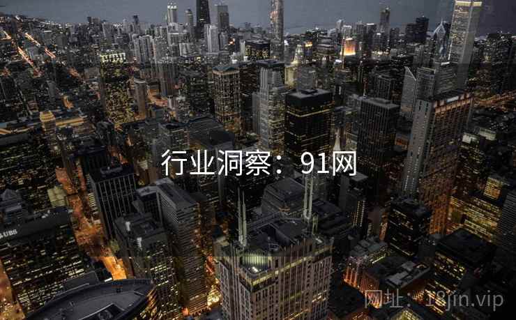 行业洞察:91网 行业洞察:91网