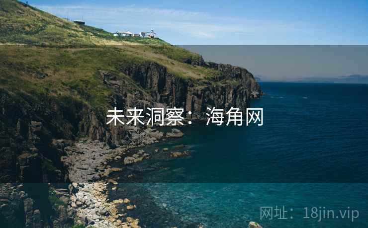 未来洞察：海角网