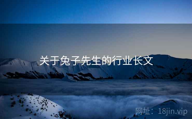 关于兔子先生的行业长文 关于兔子先生的行业长文