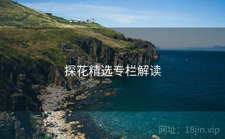 探花精选专栏解读 探花精选专栏解读