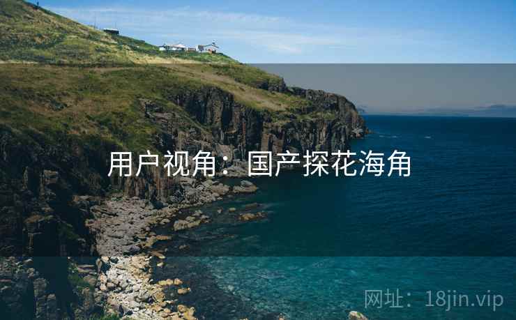 用户视角:国产探花海角 用户视角:国产探花海角