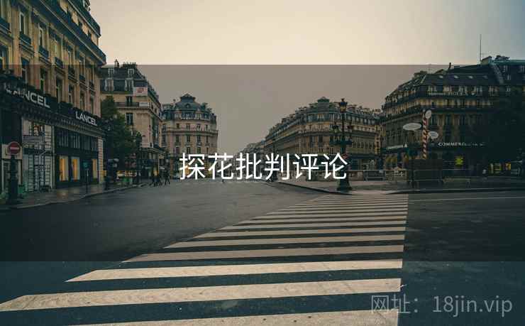 探花批判评论