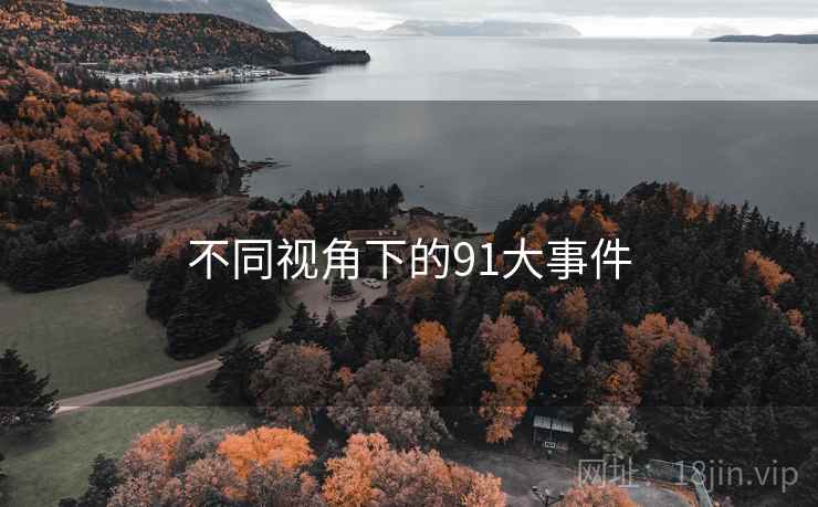 不同视角下的91大事件 不同视角下的91大事件