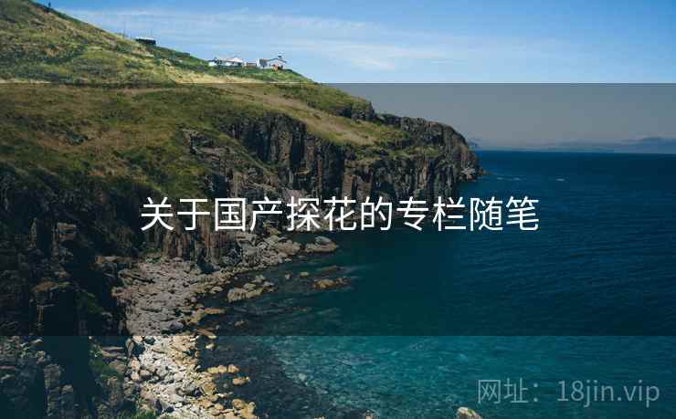 关于国产探花的专栏随笔 关于国产探花的专栏随笔