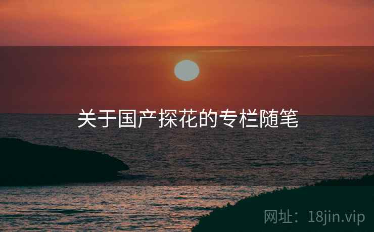 关于国产探花的专栏随笔