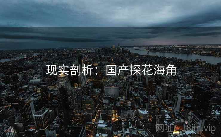 现实剖析：国产探花海角