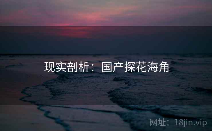 现实剖析:国产探花海角 现实剖析:国产探花海角