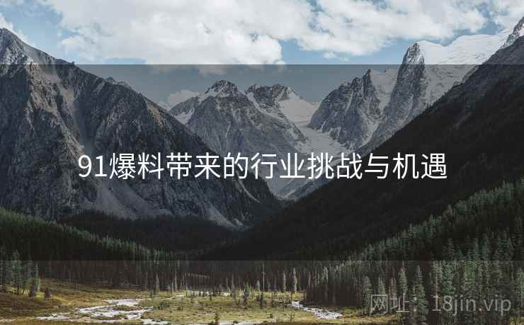 91爆料带来的行业挑战与机遇 91爆料带来的行业挑战与机遇