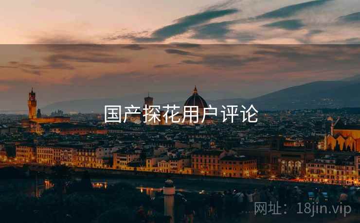 国产探花用户评论
