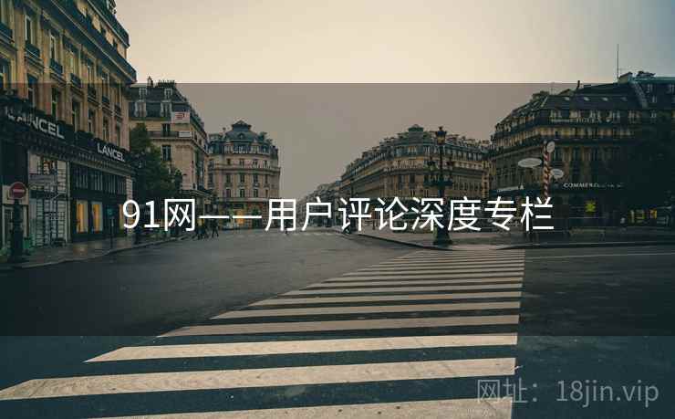 91网——用户评论深度专栏